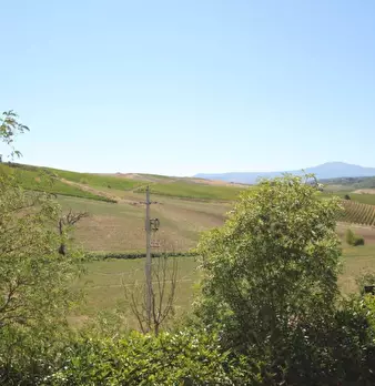 Foto annuncio 8