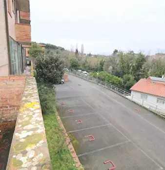 Foto annuncio 12