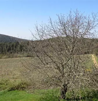 Foto annuncio 17
