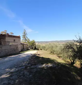 Foto annuncio 5