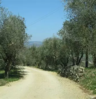 Foto annuncio 16