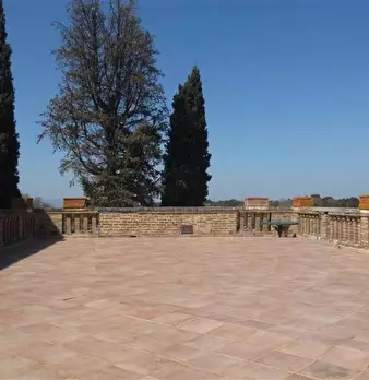 Foto annuncio 10