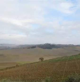 Foto annuncio 4