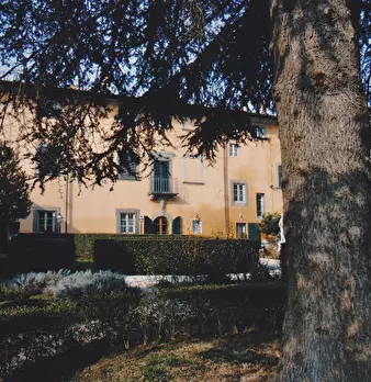 Foto annuncio 6