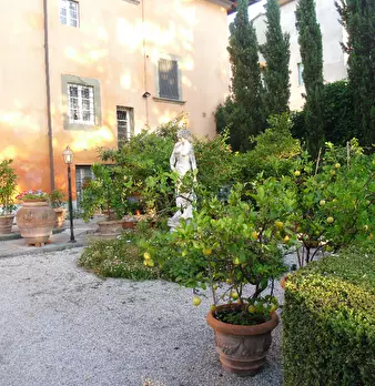 Foto annuncio 12