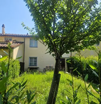 Foto annuncio 19