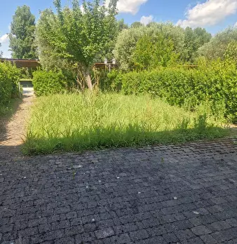Foto annuncio 18