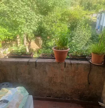 Foto annuncio 21