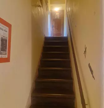 Foto annuncio 13