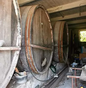 Foto annuncio 31