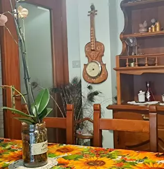 Foto annuncio 13