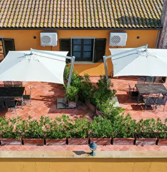 Foto annuncio 6