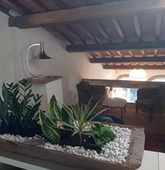 Foto annuncio 10