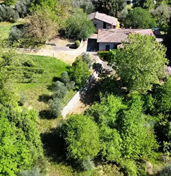 Foto annuncio 4