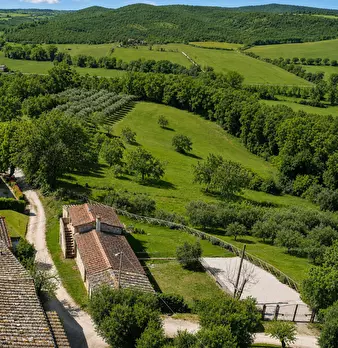 Foto annuncio 3