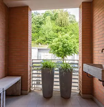 Foto annuncio 9