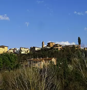 Foto annuncio 16