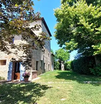 Foto annuncio 6