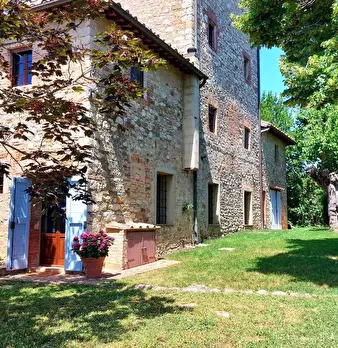 Foto annuncio 7
