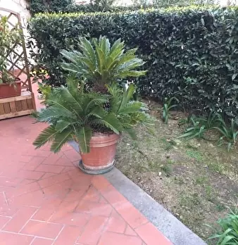 Foto annuncio 11