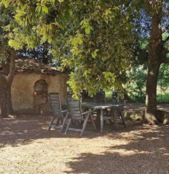 Foto annuncio 1