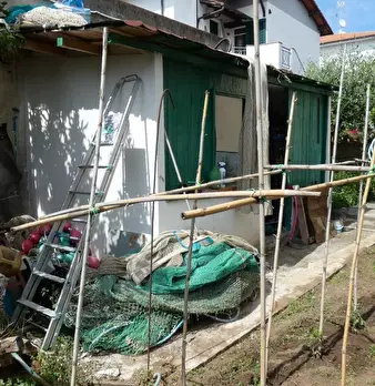 Foto annuncio 19