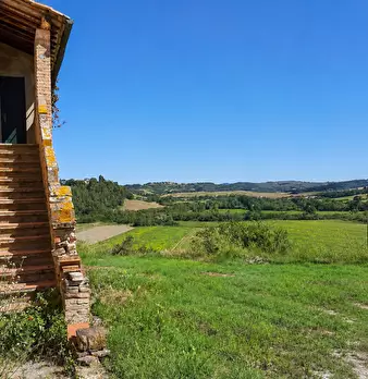 Foto annuncio 18