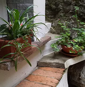 Foto annuncio 9