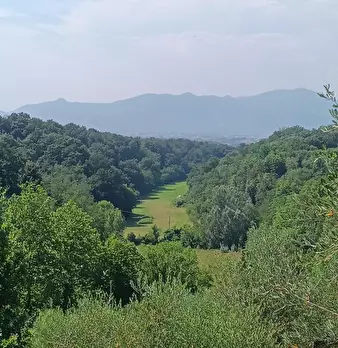 Foto annuncio 2
