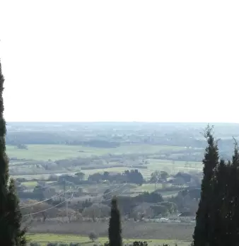 Foto annuncio 26