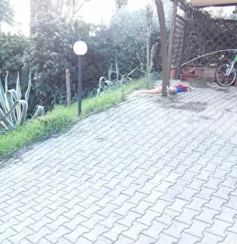 Foto annuncio 30