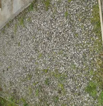 Foto annuncio 53