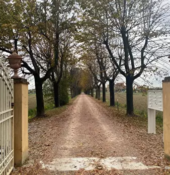 Foto annuncio 31