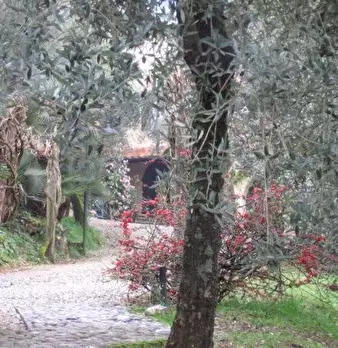 Foto annuncio 1