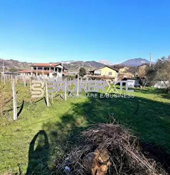 Foto annuncio 4
