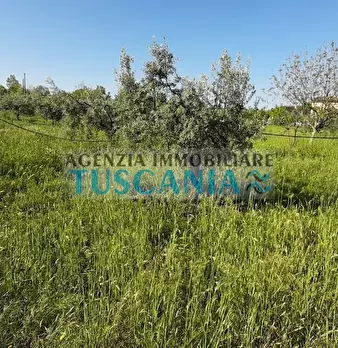 Foto annuncio 6