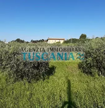 Foto annuncio 5