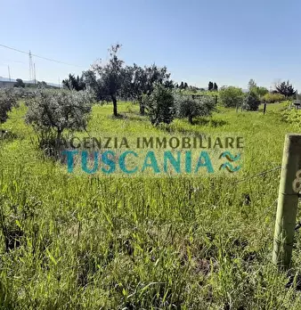 Foto annuncio 4