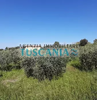 Foto annuncio 7