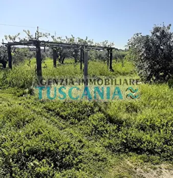 Foto annuncio 8