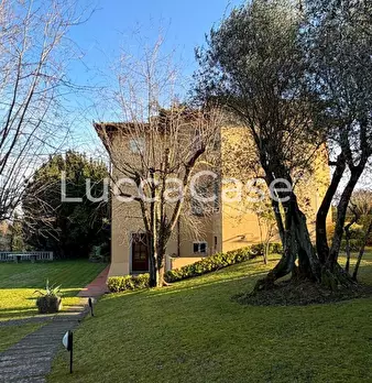 Foto annuncio 73