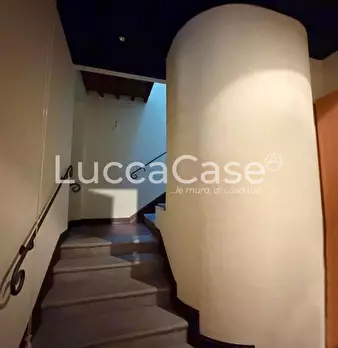 Foto annuncio 56