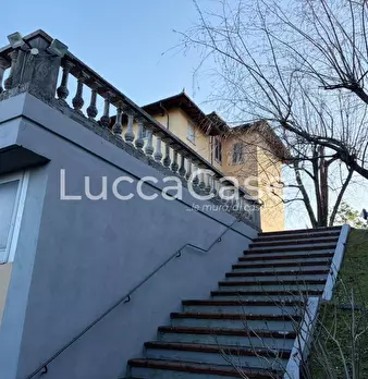 Foto annuncio 67