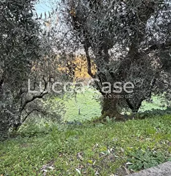Foto annuncio 83
