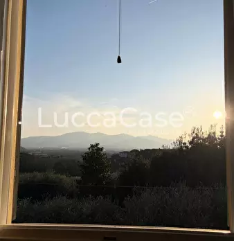 Foto annuncio 25