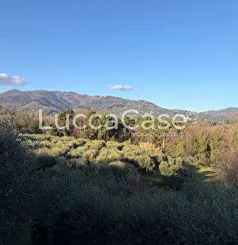 Foto annuncio 51