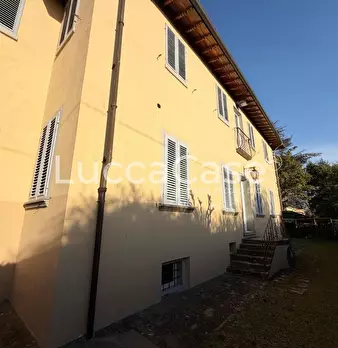 Foto annuncio 77