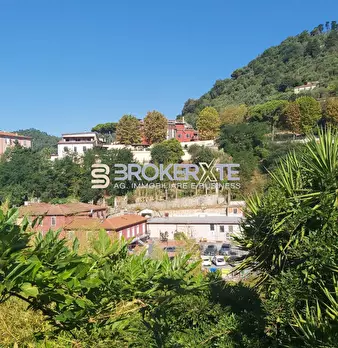 Foto annuncio 83