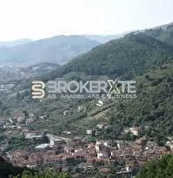 Foto annuncio 24