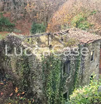 Foto annuncio 32